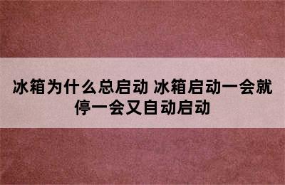 冰箱为什么总启动 冰箱启动一会就停一会又自动启动